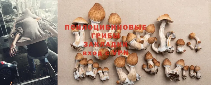 Галлюциногенные грибы MAGIC MUSHROOMS  hydra как войти  Людиново 